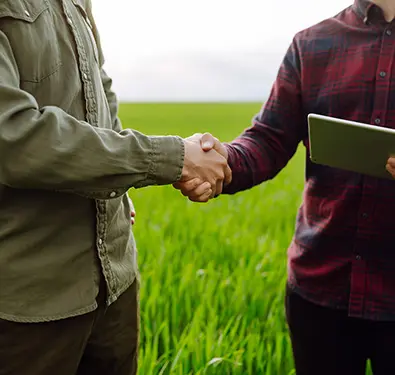 Advogado Para Agronegócio Itapeva SP